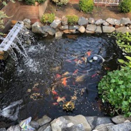 Beautiful Brooklyn Koi-Fish Pond-Garden Residence New York Exterior photo